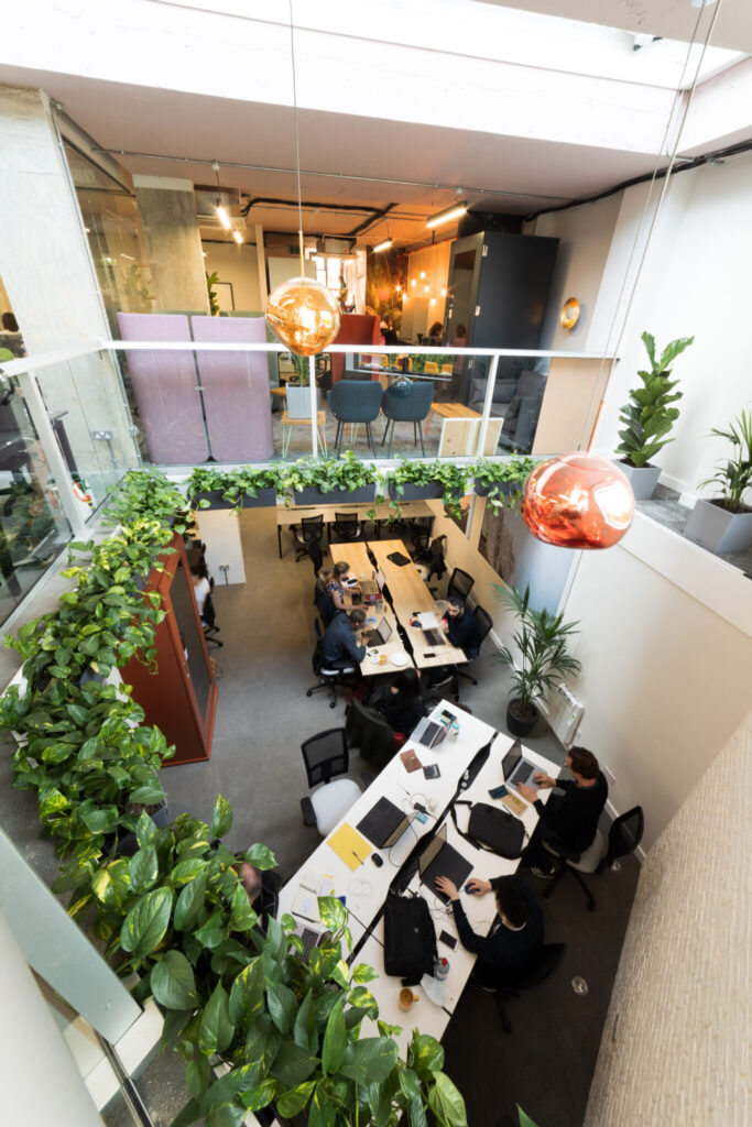 office plants at homework southfields